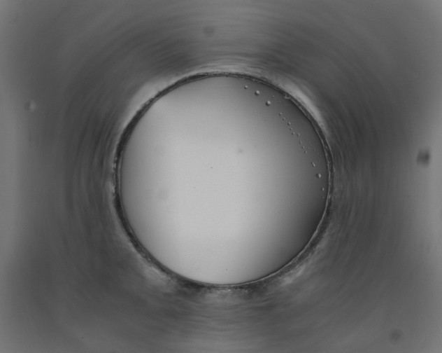 X0000091861093200710031656