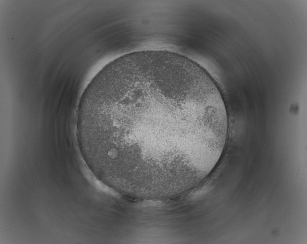 X0000091861094200710031656