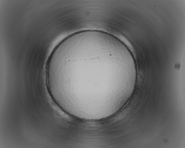 X0000091861096200710031656