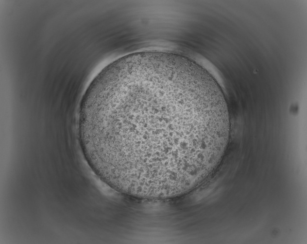 X0000091861099200710031656