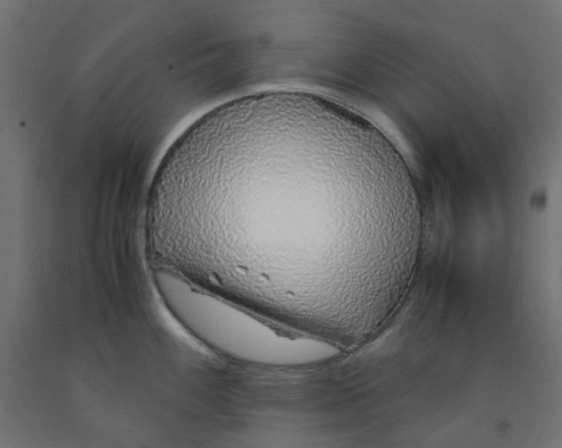 X0000091861100200710031656