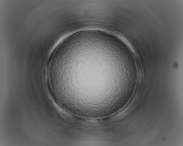 X0000091861101200710031656