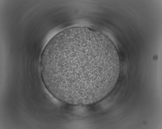 X0000091861103200710031656