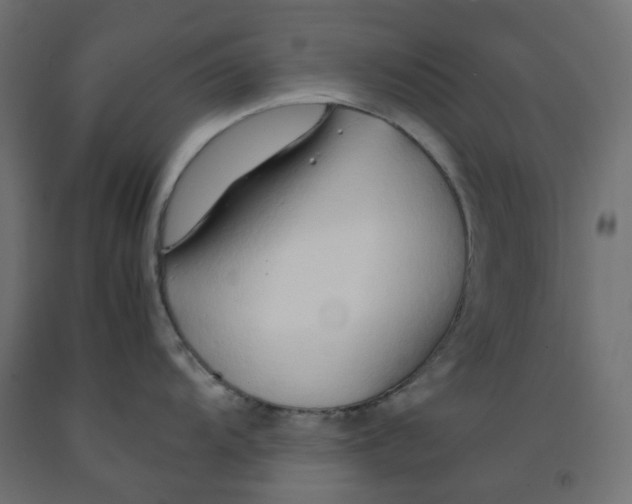 X0000091861104200710031656