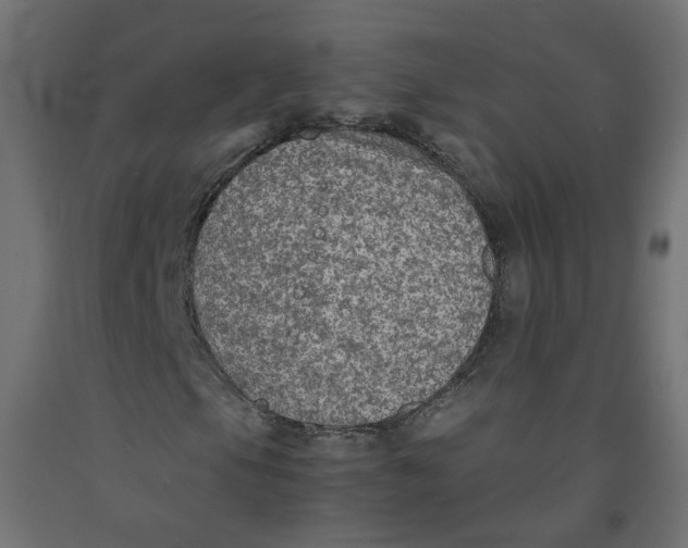 X0000091861105200710031655