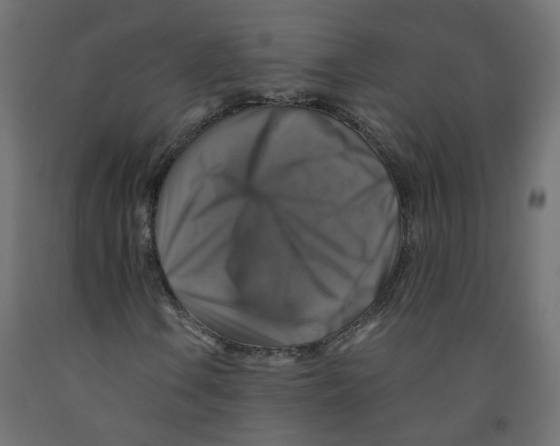 X0000091861106200710031655