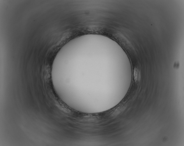 X0000091861107200710031655