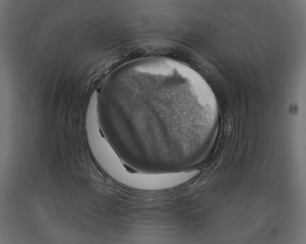 X0000091861108200710031655