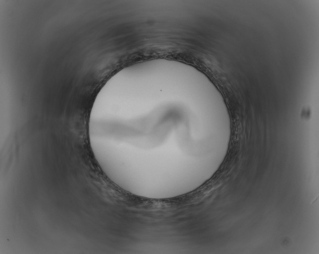 X0000091861109200710031655