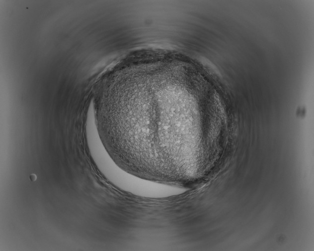 X0000091861110200710031655