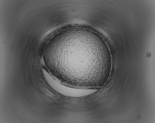 X0000091861112200710031656