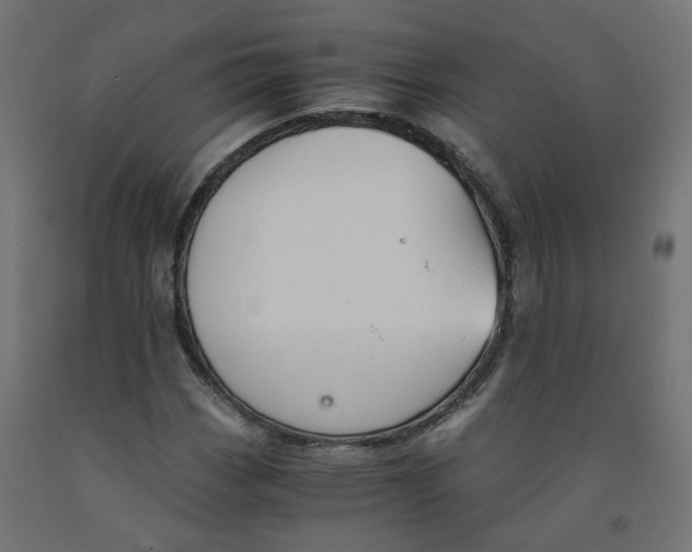 X0000091861113200710031656