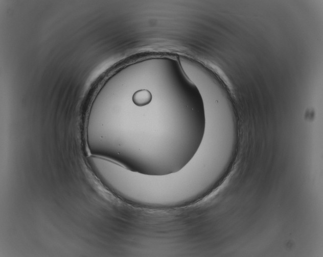 X0000091861114200710031656