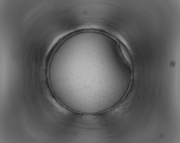 X0000091861116200710031656