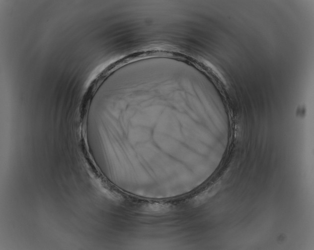 X0000091861117200710031656