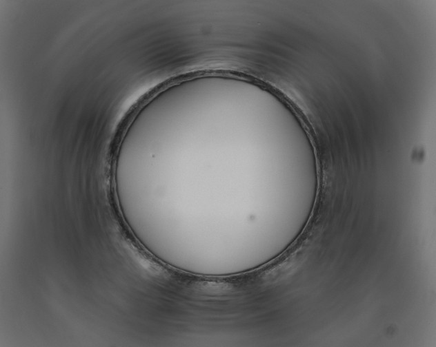 X0000091861119200710031656