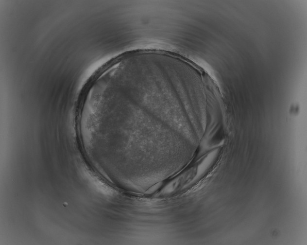 X0000091861120200710031656