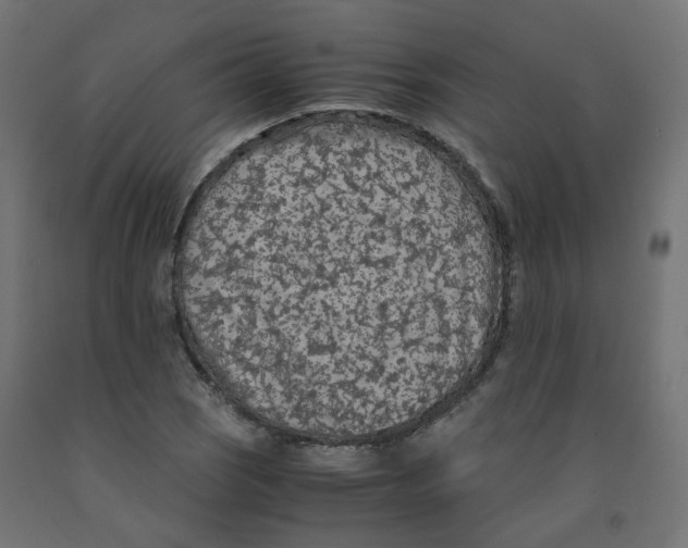 X0000091861121200710031656