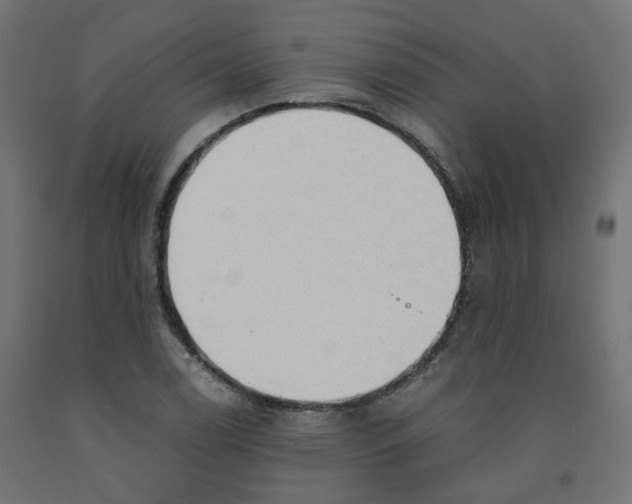 X0000091861122200710031656