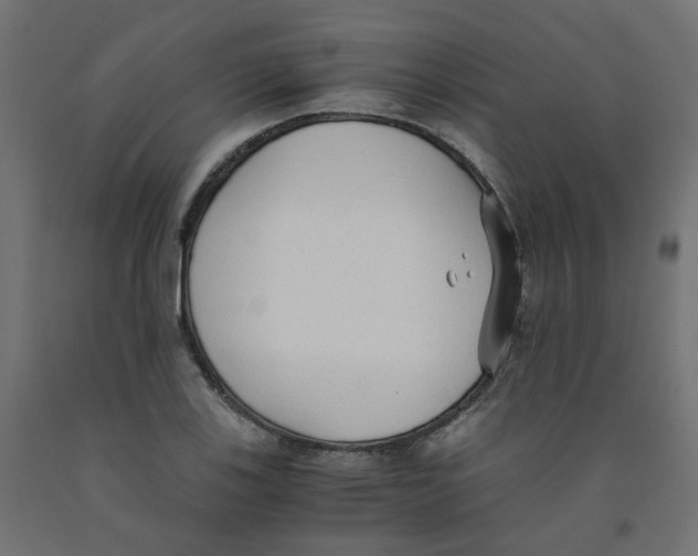 X0000091861123200710031656