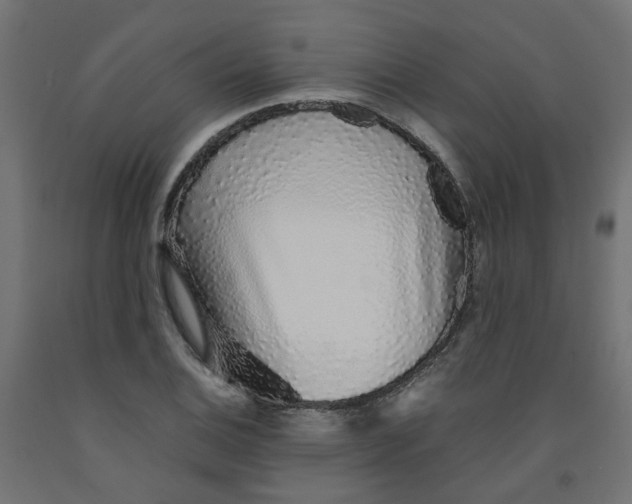 X0000091861124200710031656