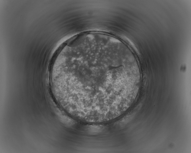 X0000091861125200710031656