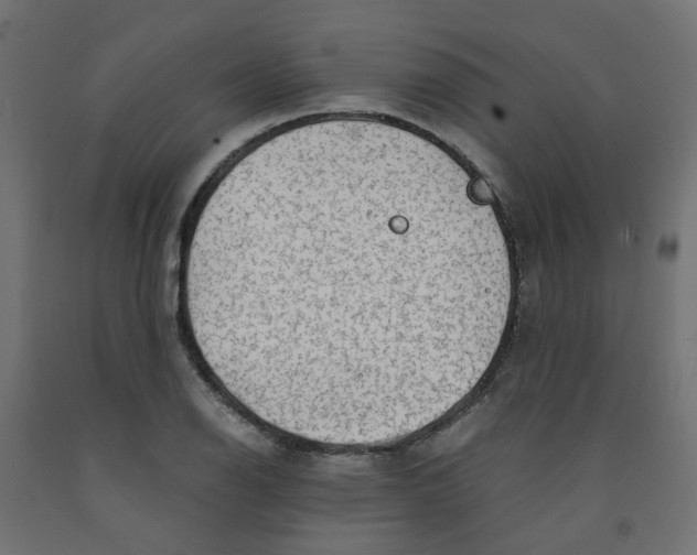 X0000091861126200710031656