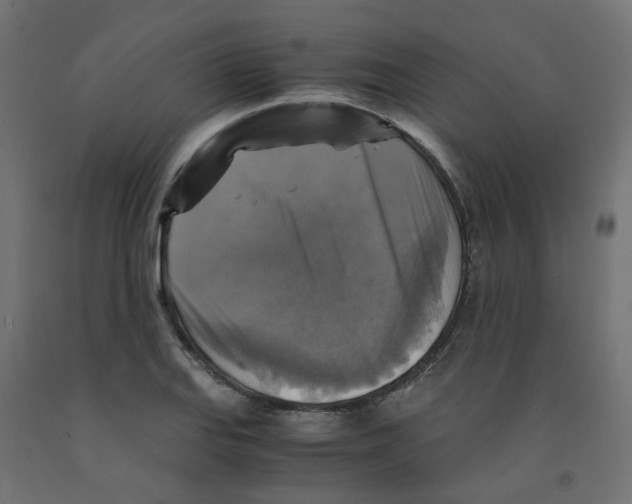 X0000091861127200710031656