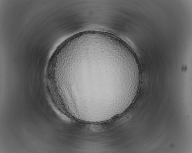 X0000091861128200710031656