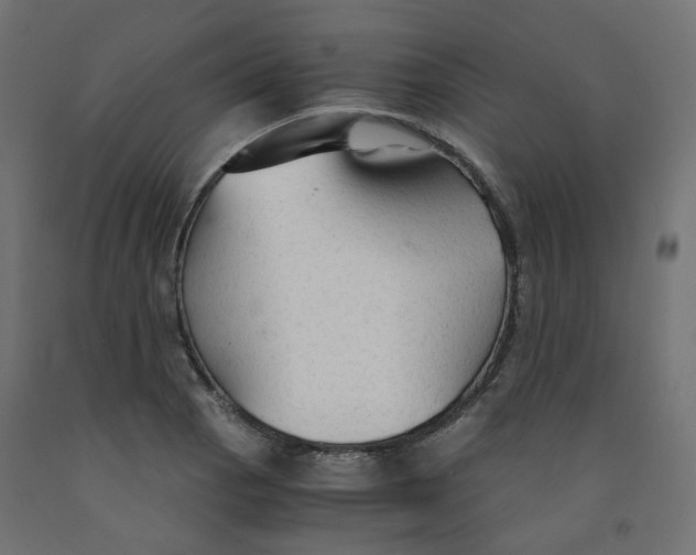 X0000091861129200710031656