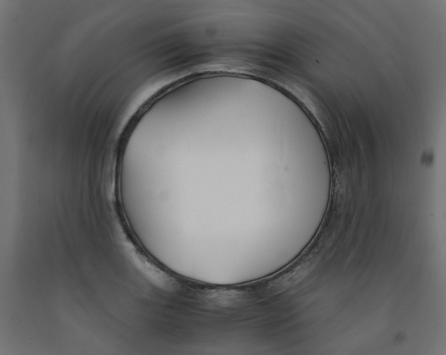 X0000091861131200710031656