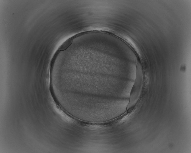 X0000091861132200710031656