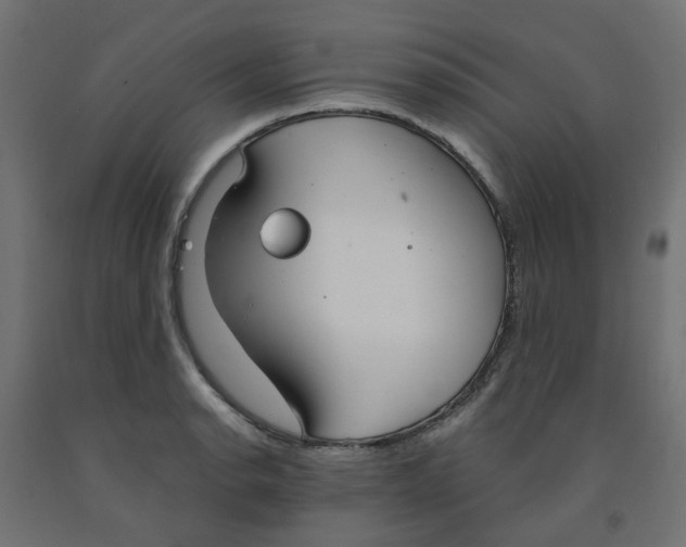 X0000091861134200710031656