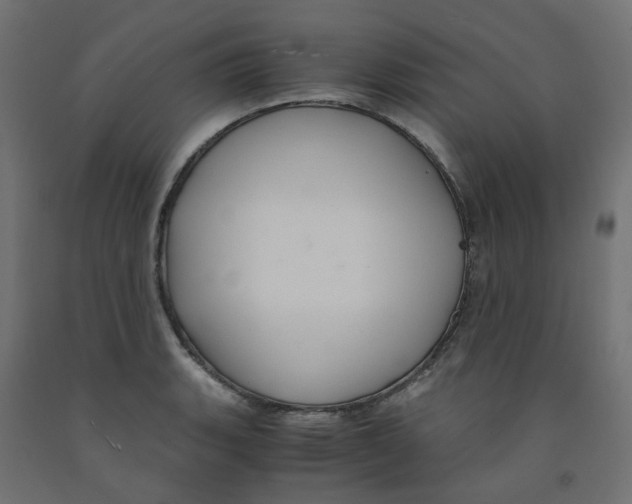 X0000091861135200710031656