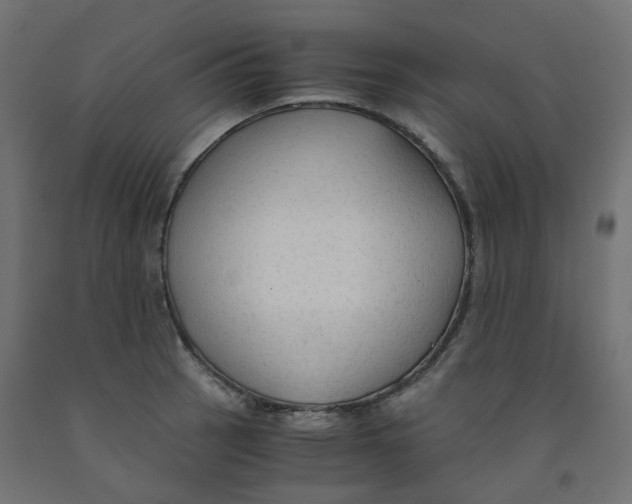 X0000091861137200710031656