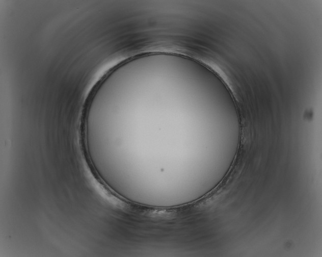 X0000091861139200710031656