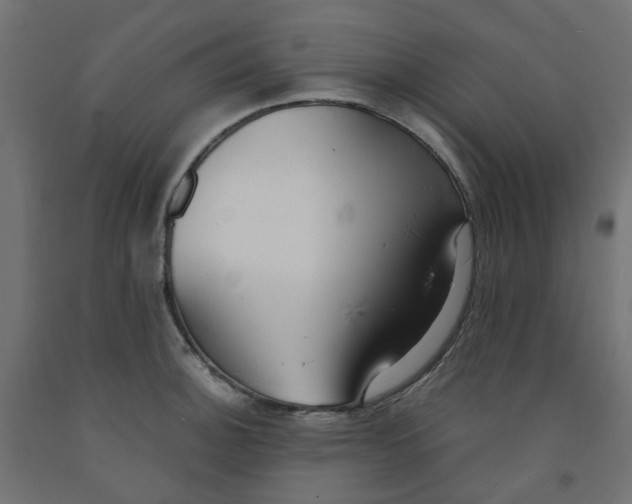 X0000091861140200710031656