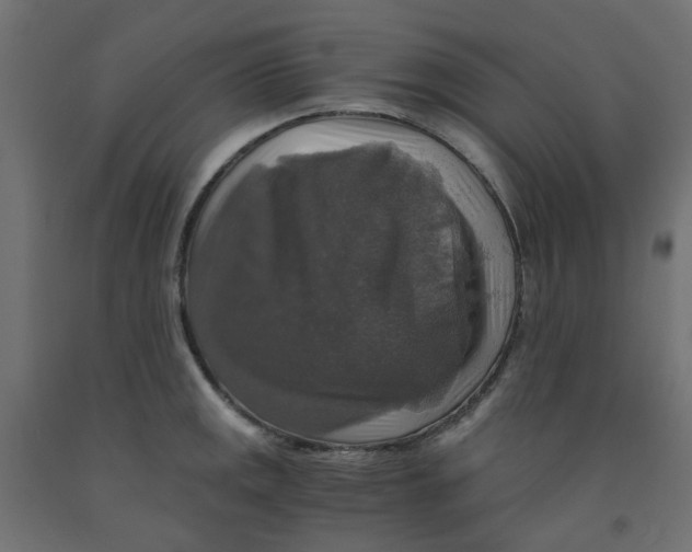 X0000091861141200710031656