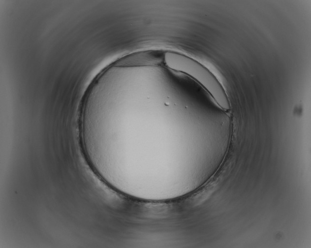 X0000091861142200710031656