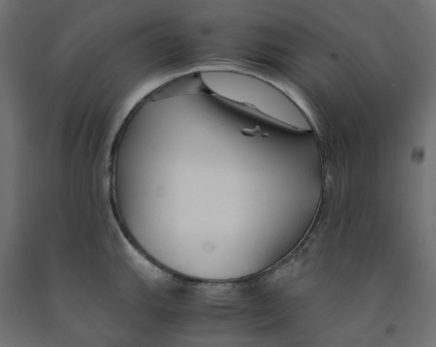 X0000091861143200710031656