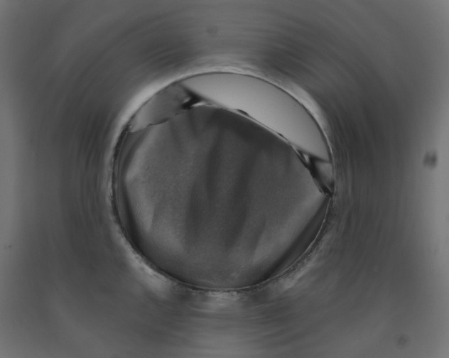 X0000091861144200710031656