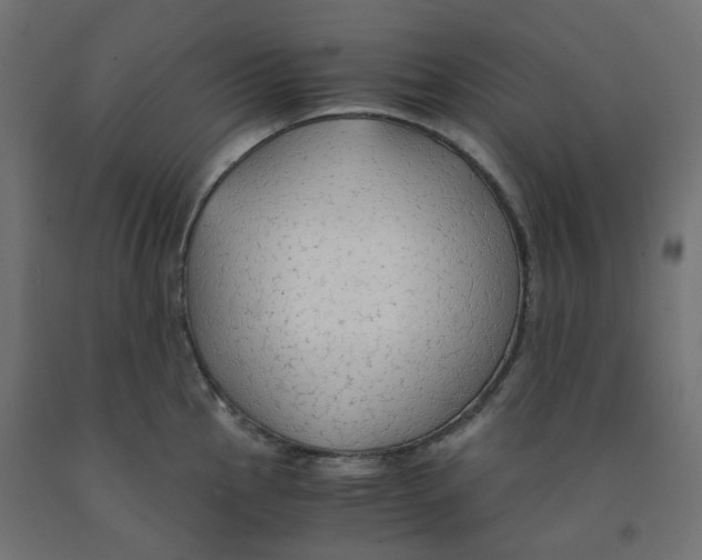 X0000091861145200710031656