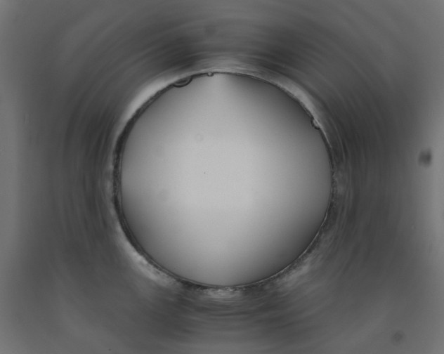 X0000091861147200710031656