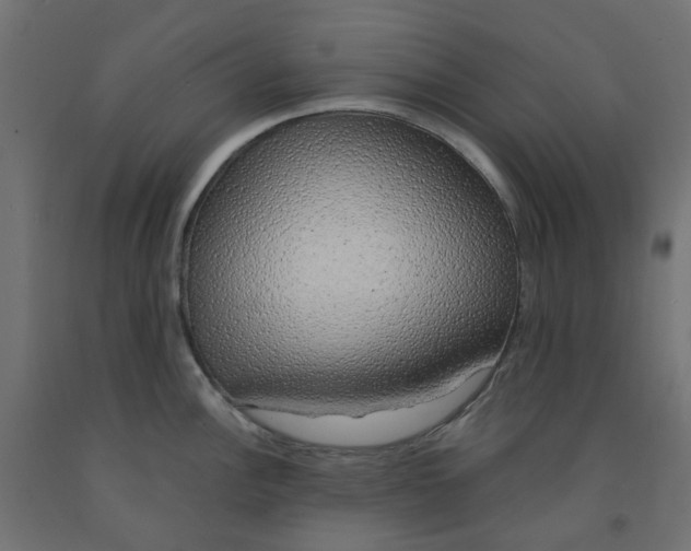 X0000091861148200710031656