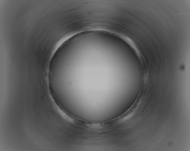 X0000091861149200710031656