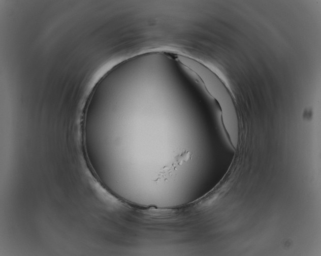 X0000091861151200710031656