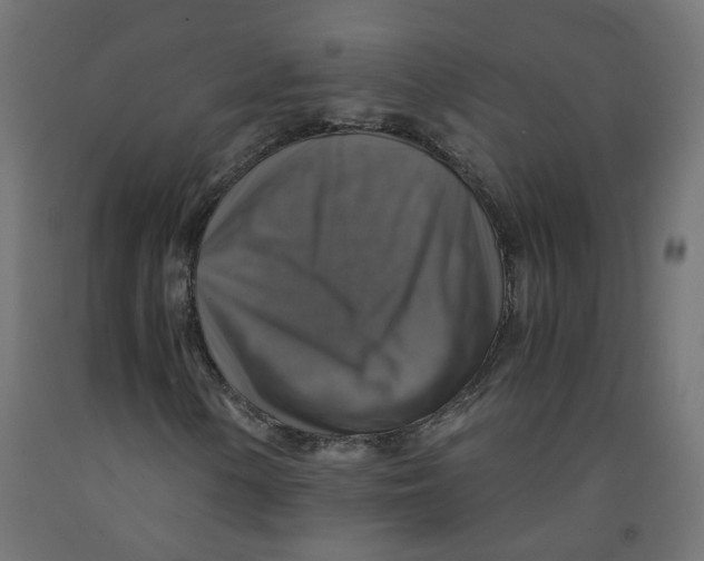 X0000091861154200710031655