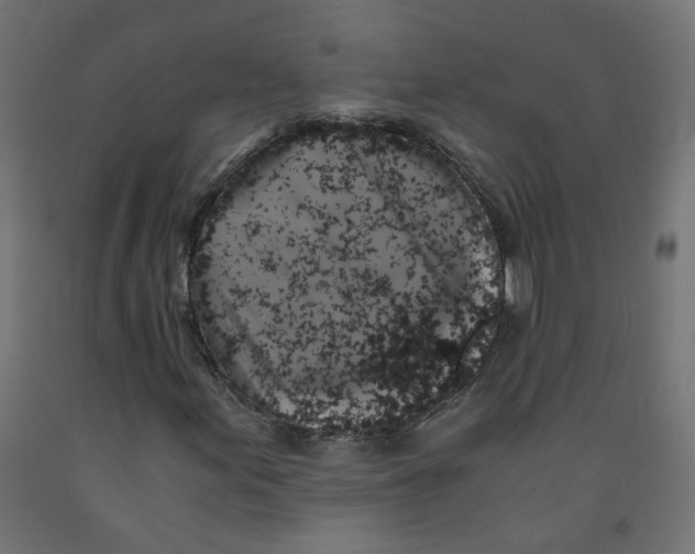 X0000091861155200710031655