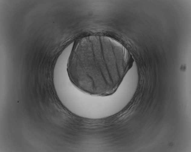 X0000091861156200710031655