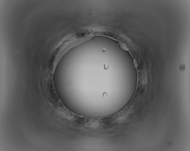 X0000091861157200710031655